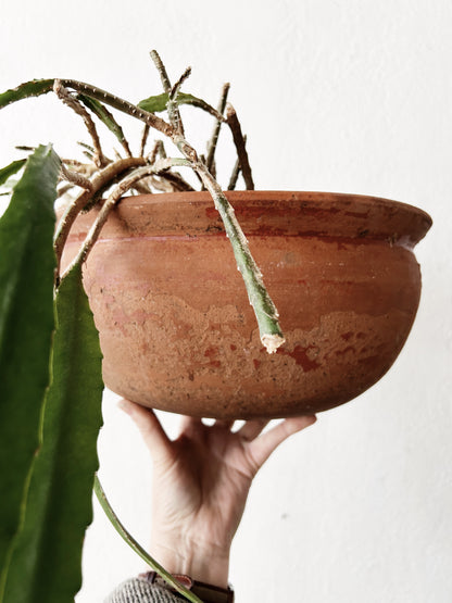 Vintage Terra Cotta Pot with Hanger