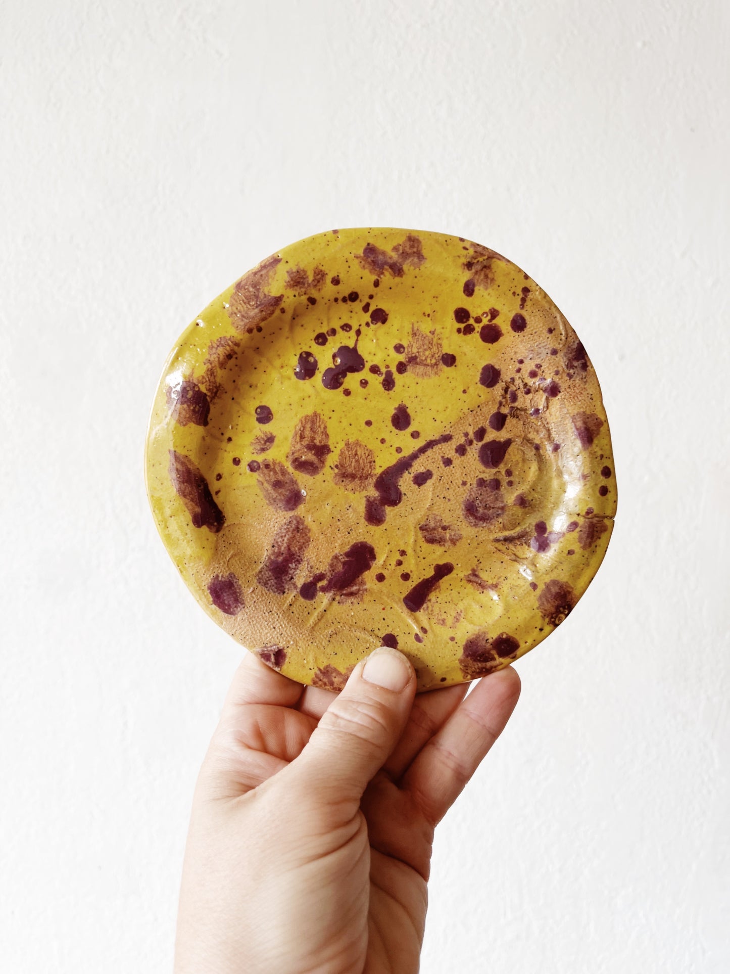 Pair of Handmade Splatter Plates