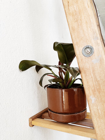 Vintage Ladder Shelf