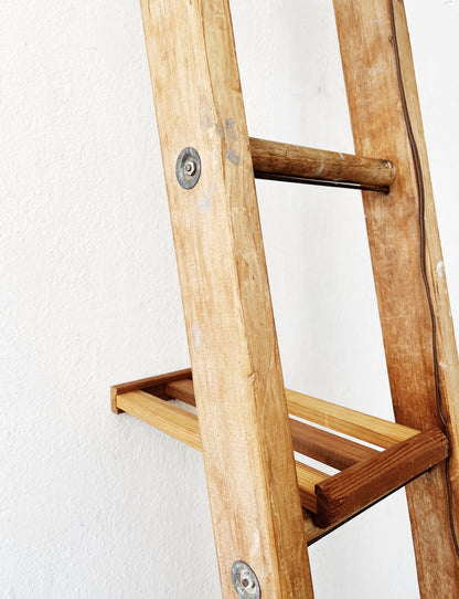 Vintage Ladder Shelf