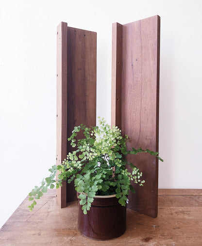 Minimalist Wood Display Shelf