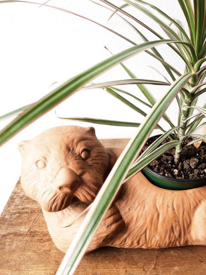 Clay Otter Planter