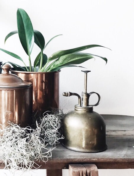 Vintage Brass Plant Mister