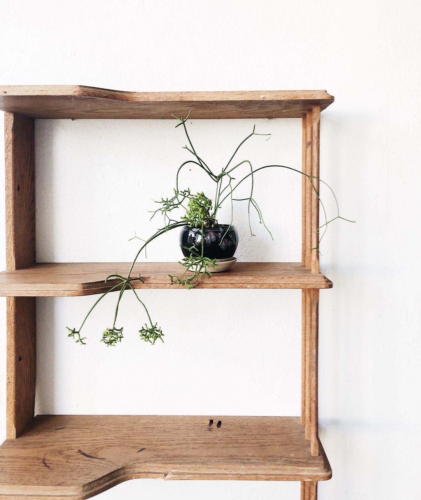 Large Vintage Folk Wall Shelf