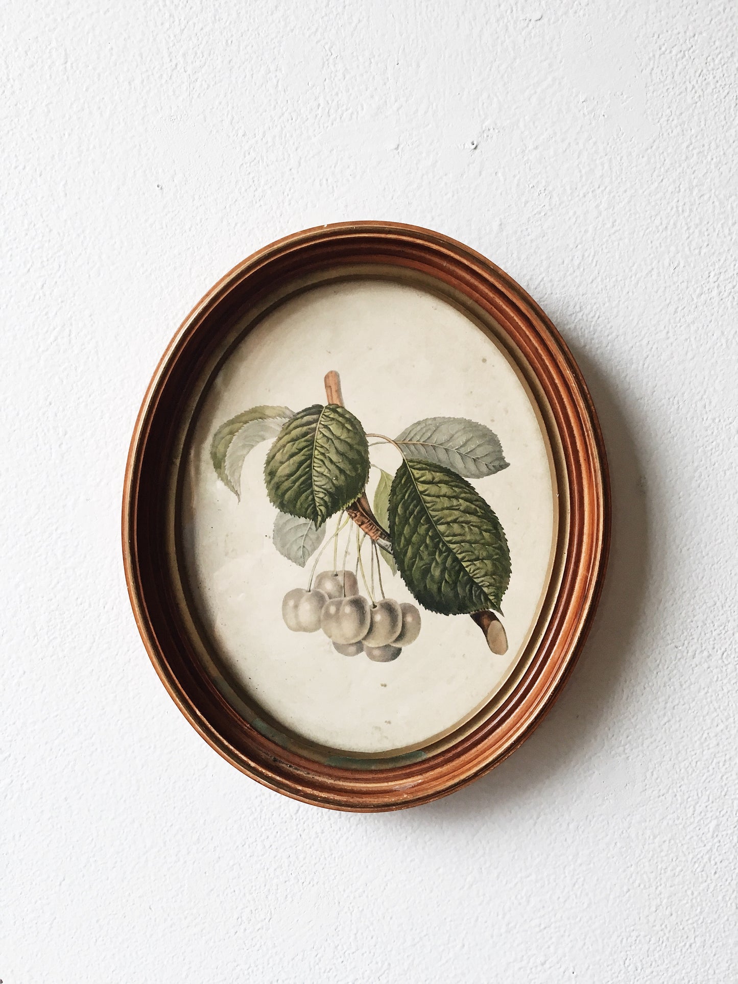 Antique Framed Cherries