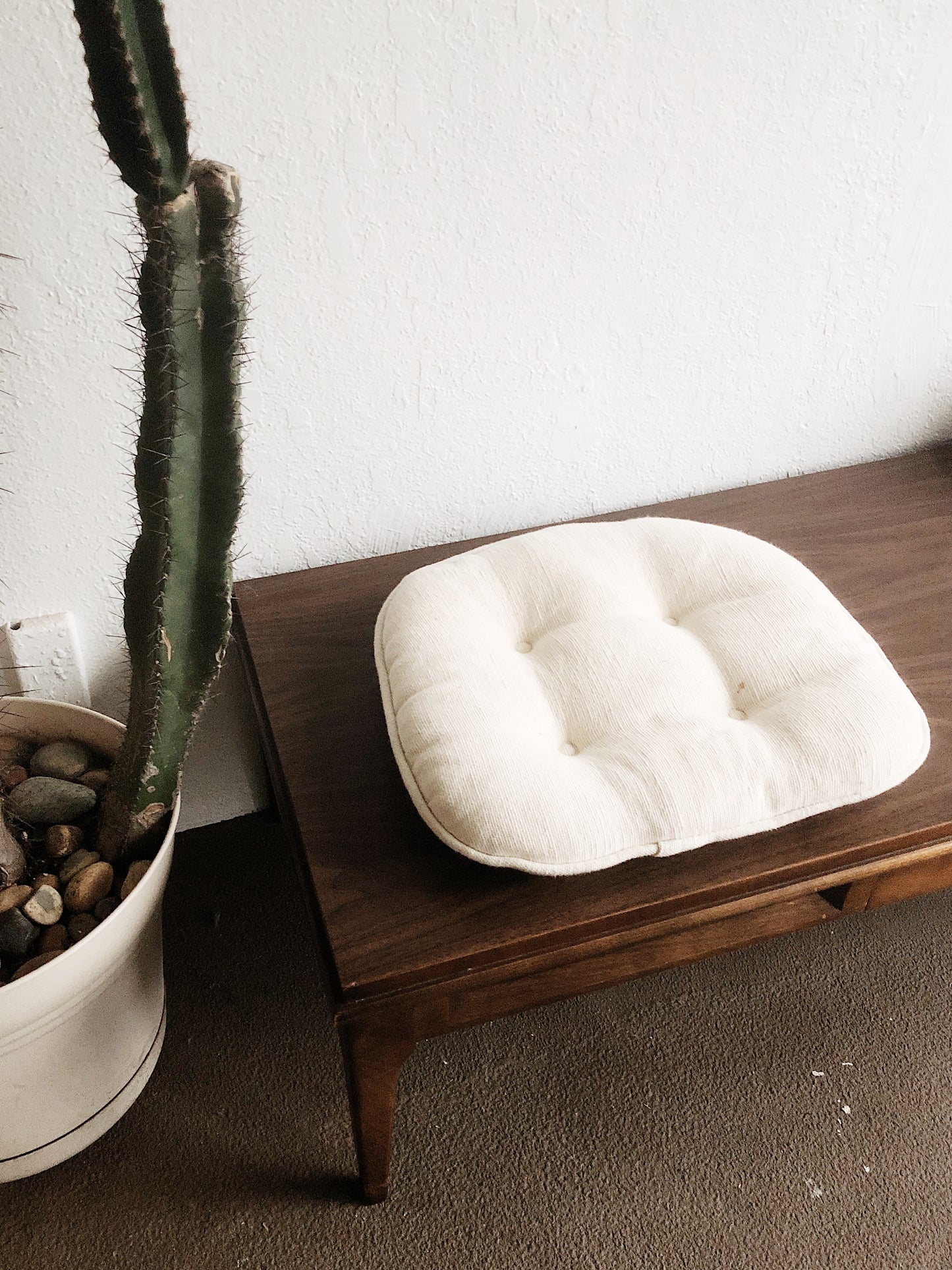 Vintage Mid Century Low Table