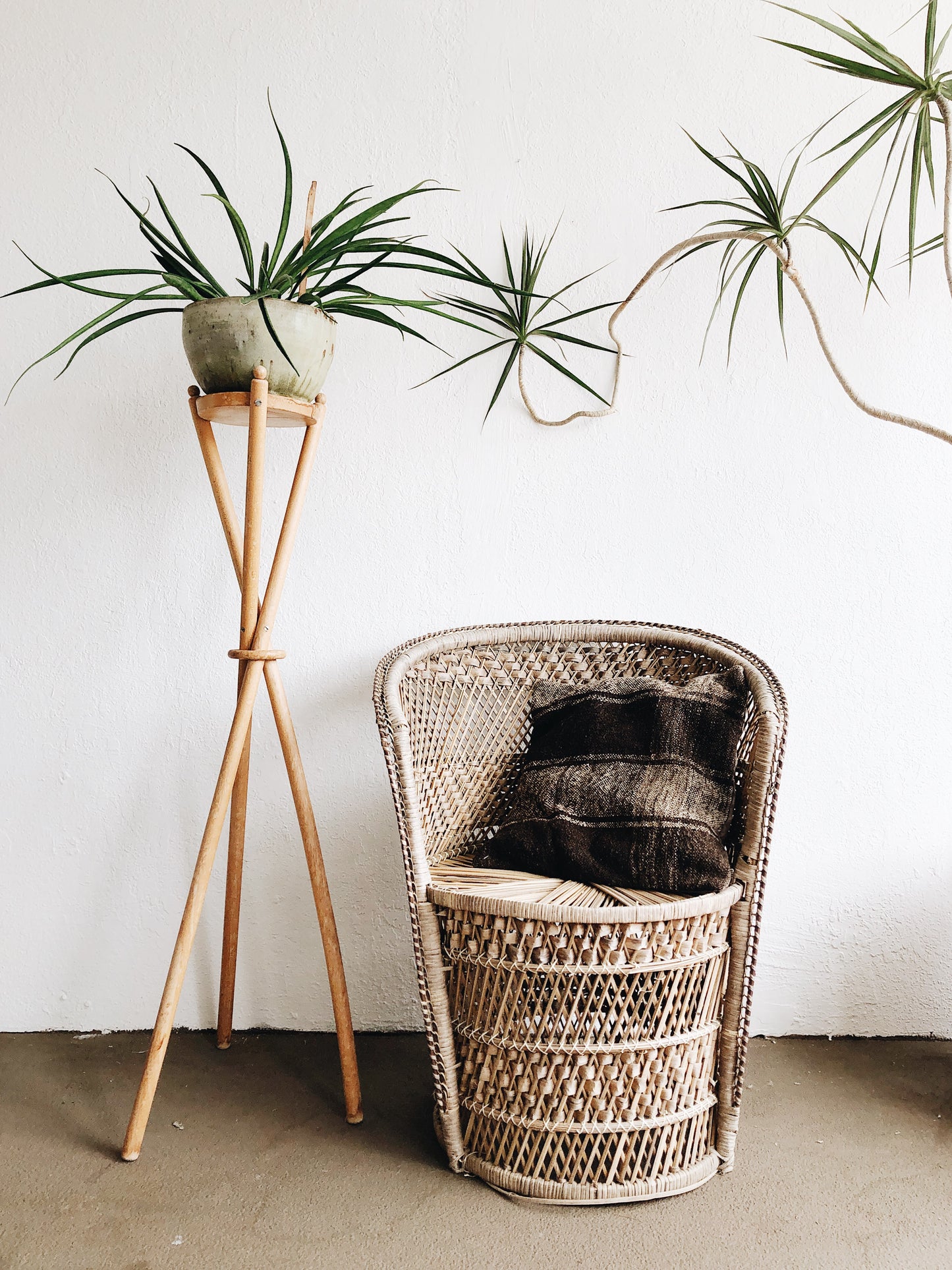 Vintage Tripod Plant Stand