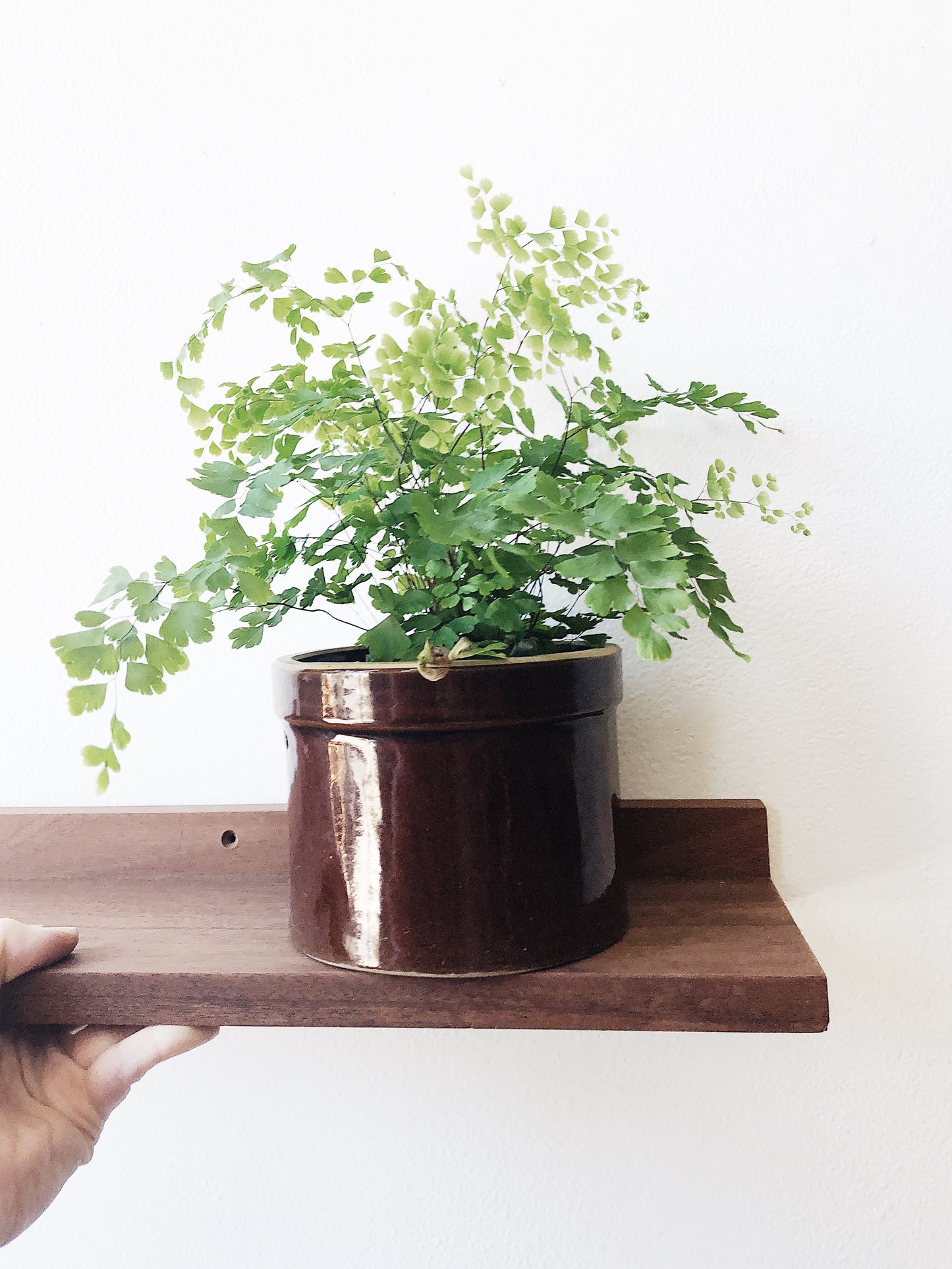 Minimalist Wood Display Shelf