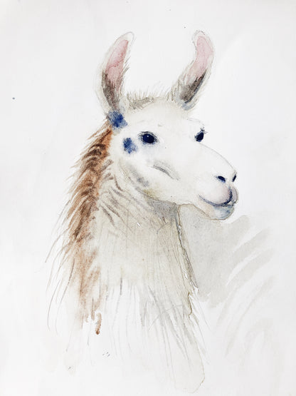 Vintage Original Llama Watercolor