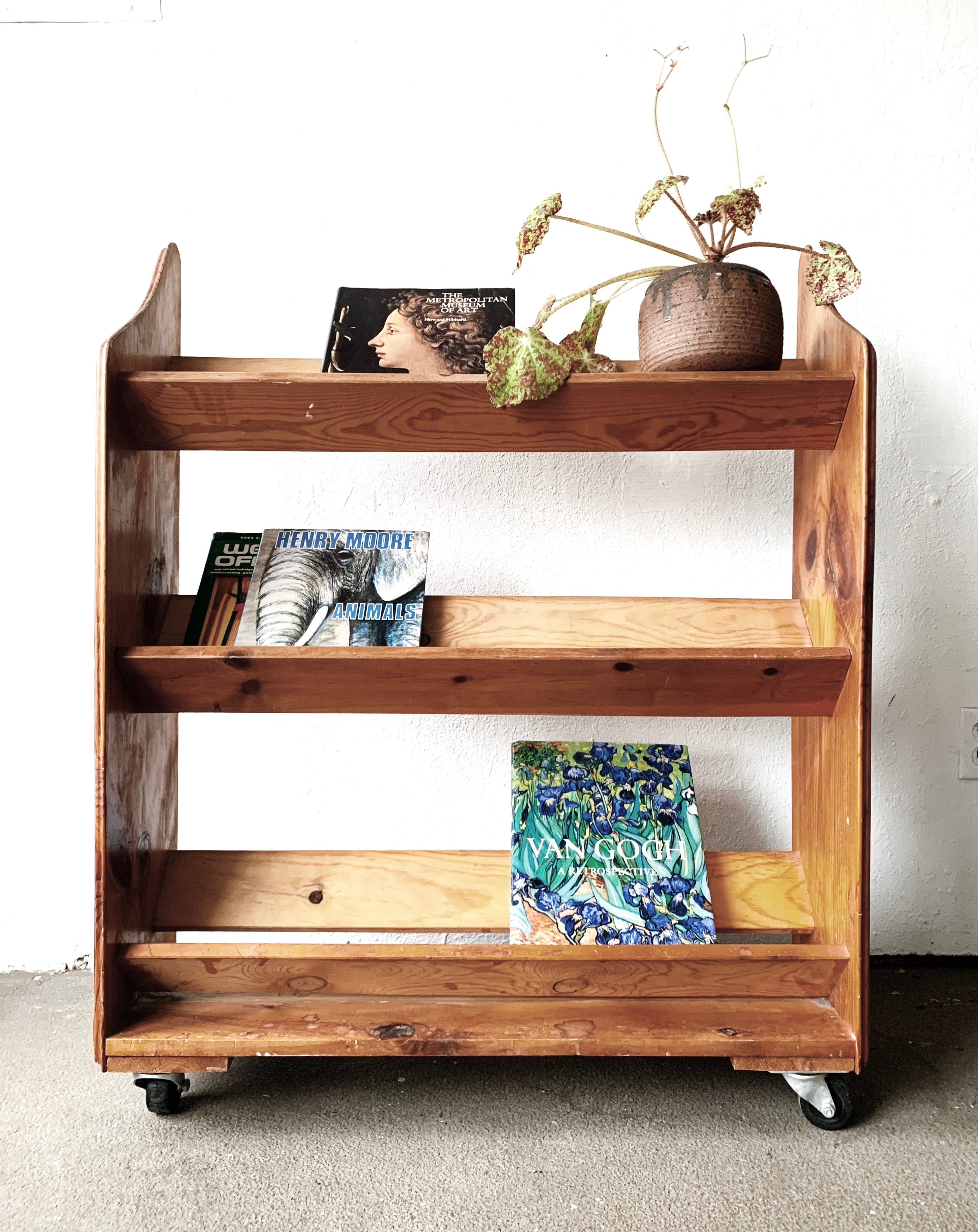 Rolling wooden outlet bookcase