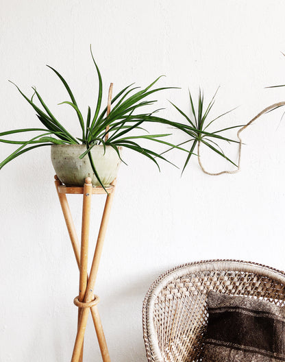 Vintage Tripod Plant Stand