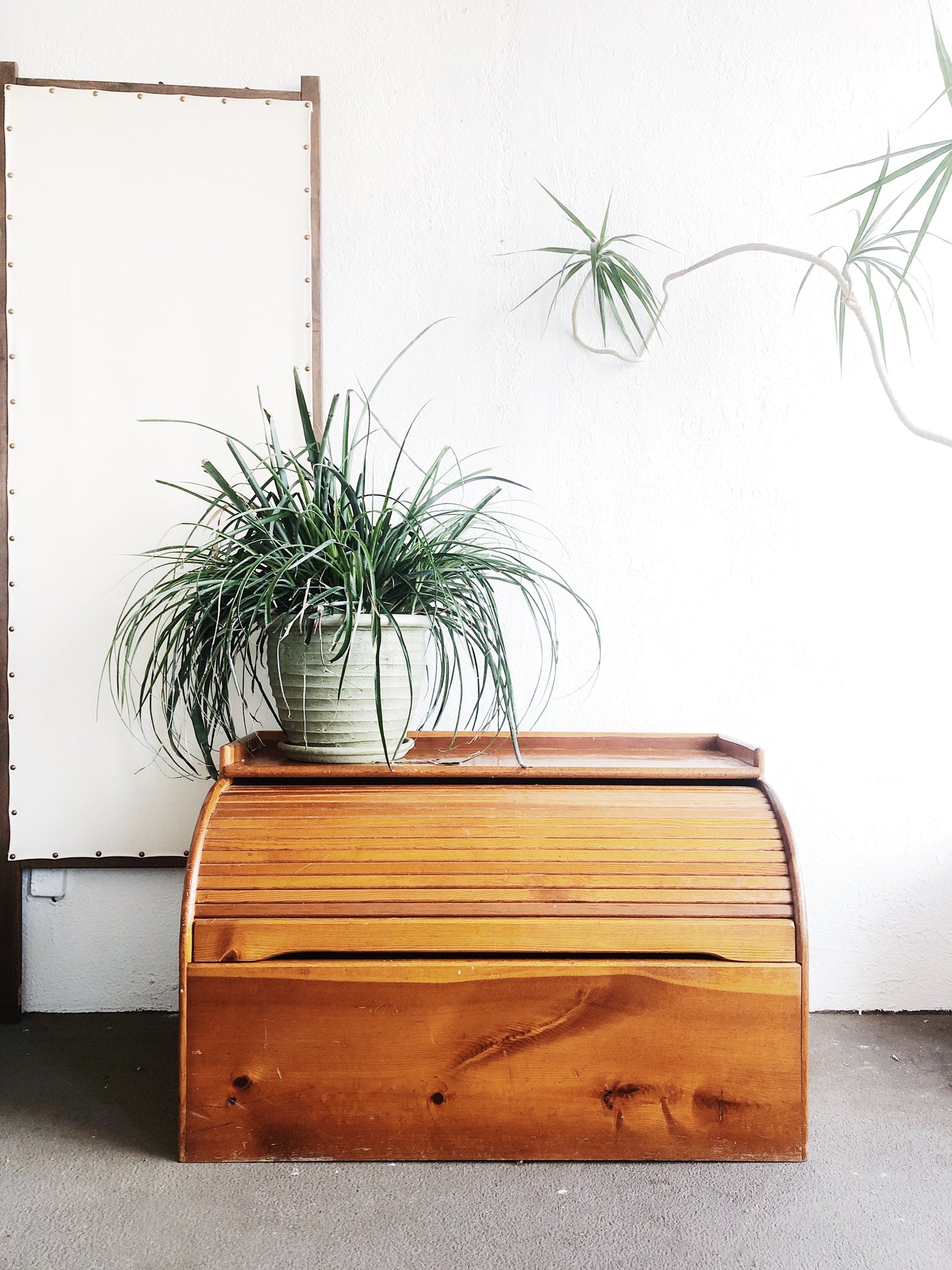 Vintage Tambour Top Trunk