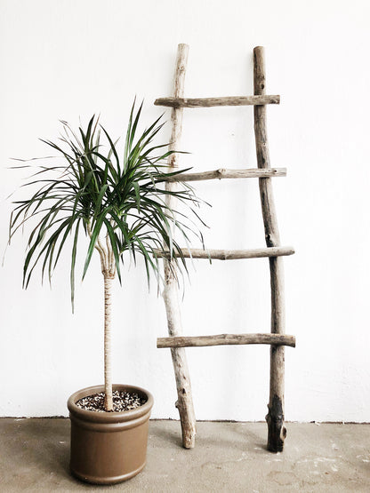 Handmade Driftwood Ladder