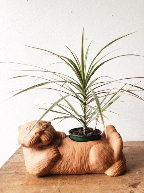 Clay Otter Planter