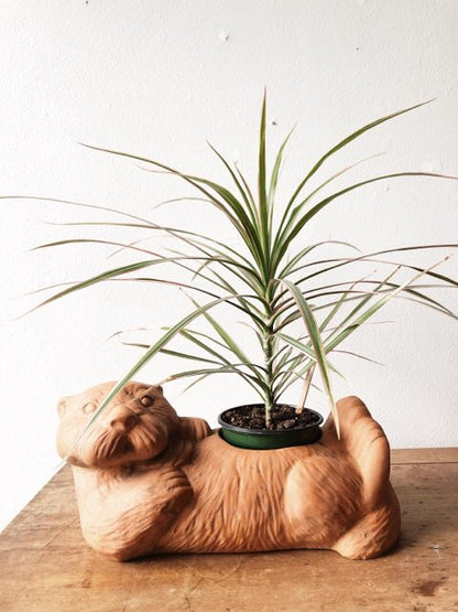 Clay Otter Planter