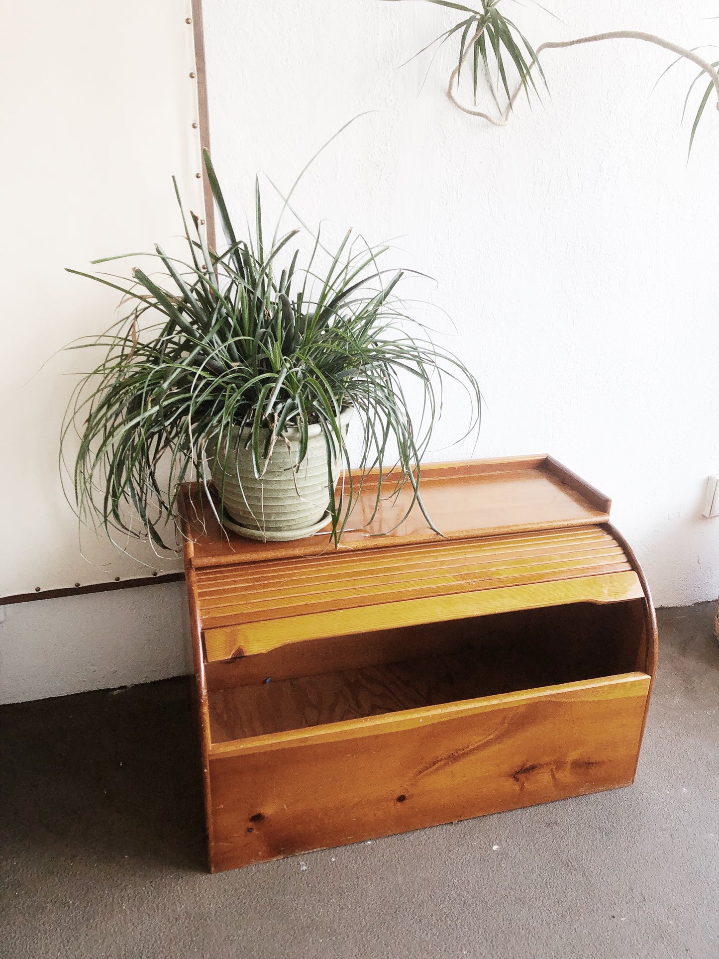 Vintage Tambour Top Trunk