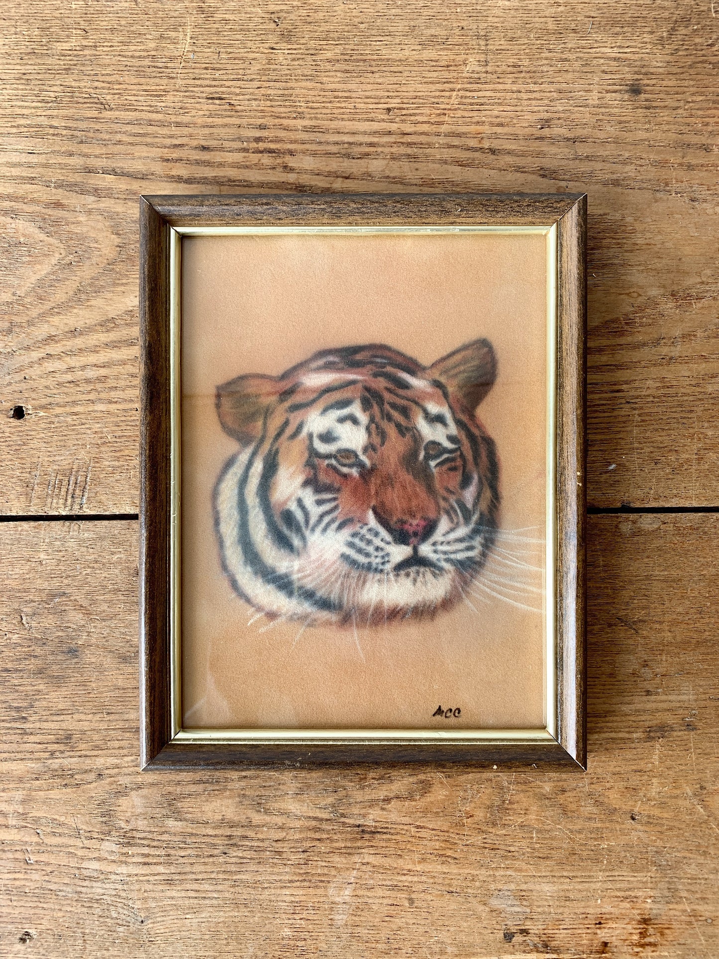 Vintage Painted Tiger Portrait