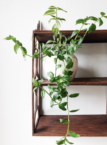 Vintage Display Shelf