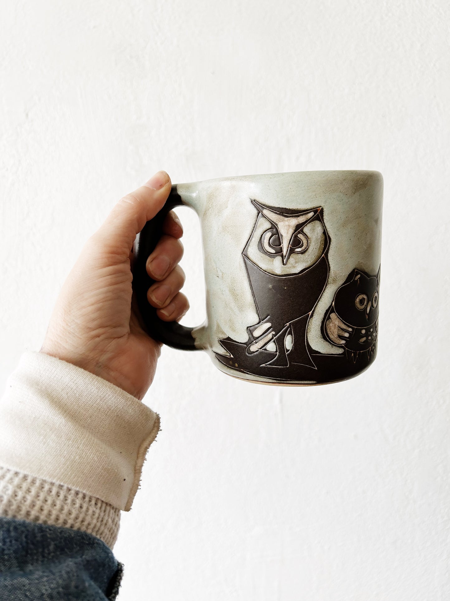 Large Mara of Mexico Owl Mug