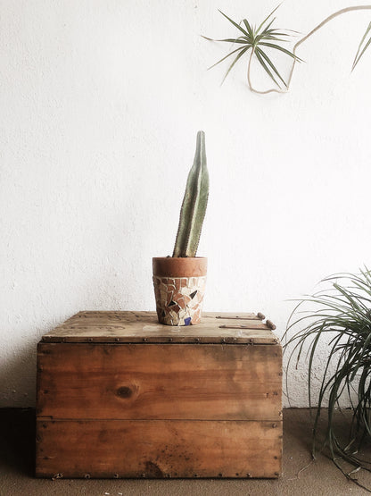 Vintage Shipping Trunk