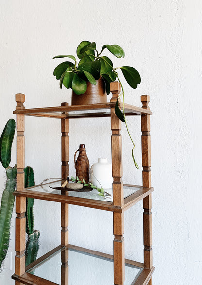 Tall Vintage Wood and Glass Shelf