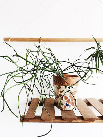 Vintage Teak Hanging Rack