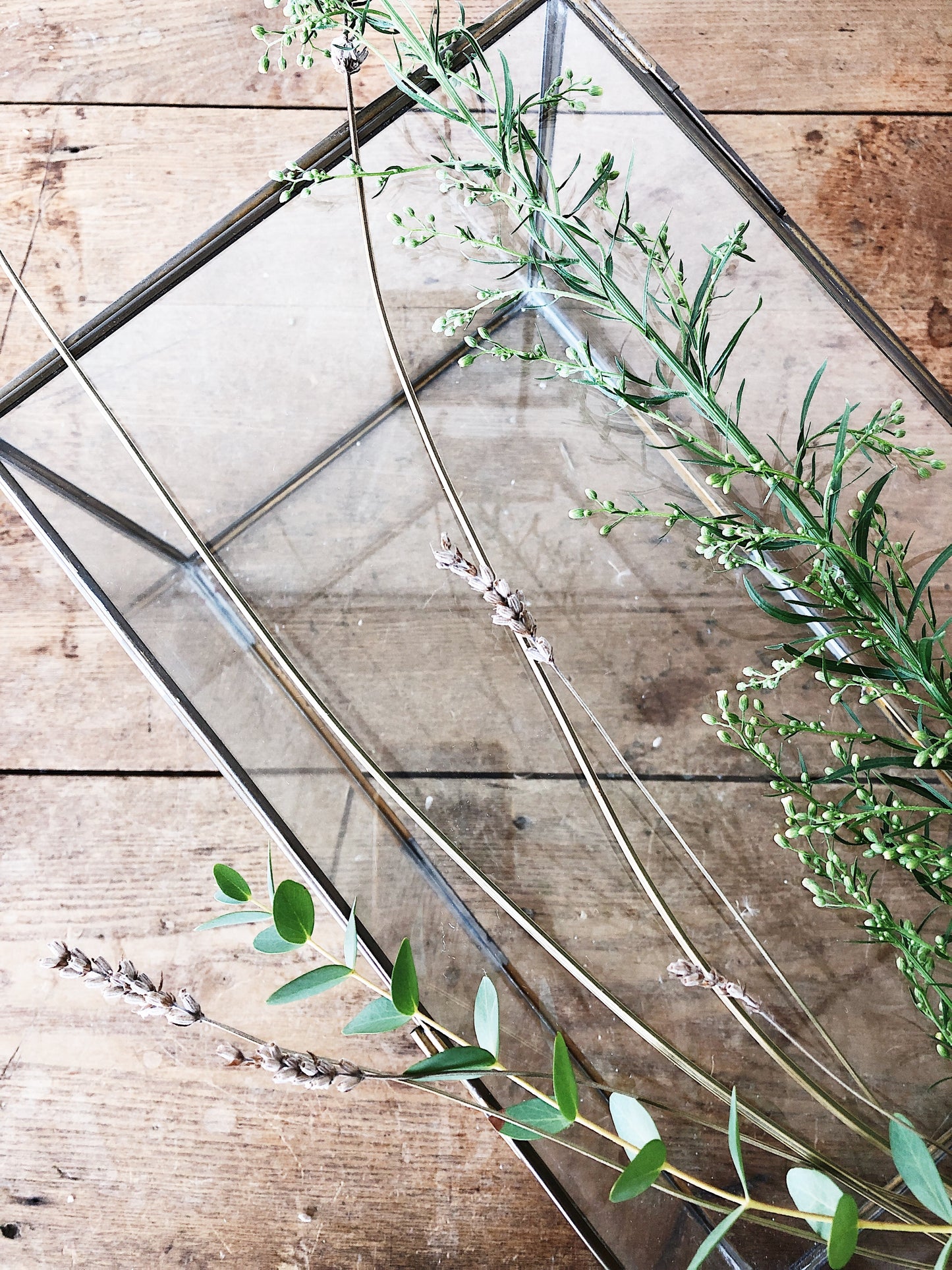 Brass Leaded Glass Display Case