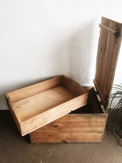 Vintage Shipping Trunk