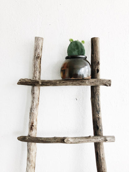 Handmade Driftwood Ladder