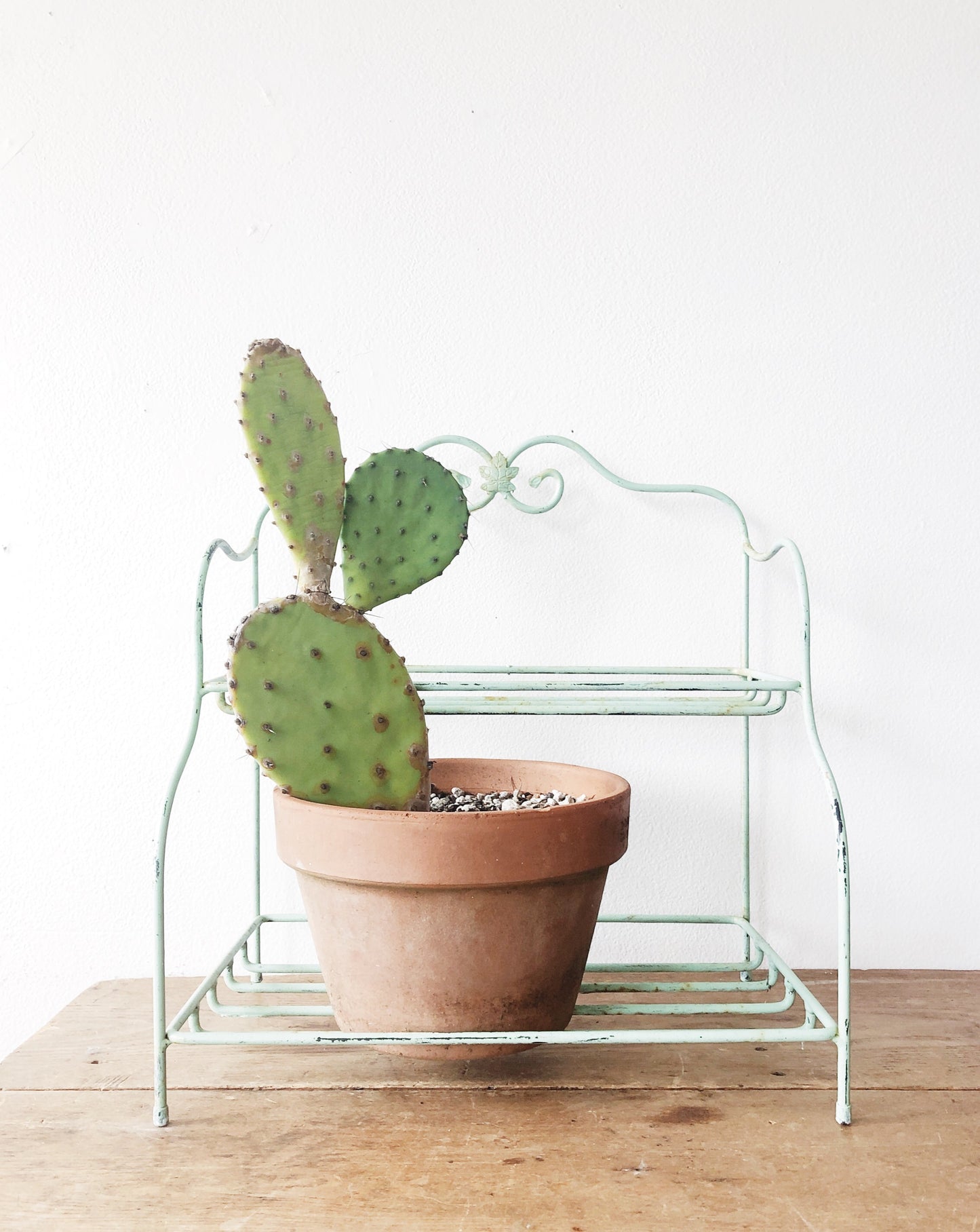 Vintage Seafoam Wire Rack