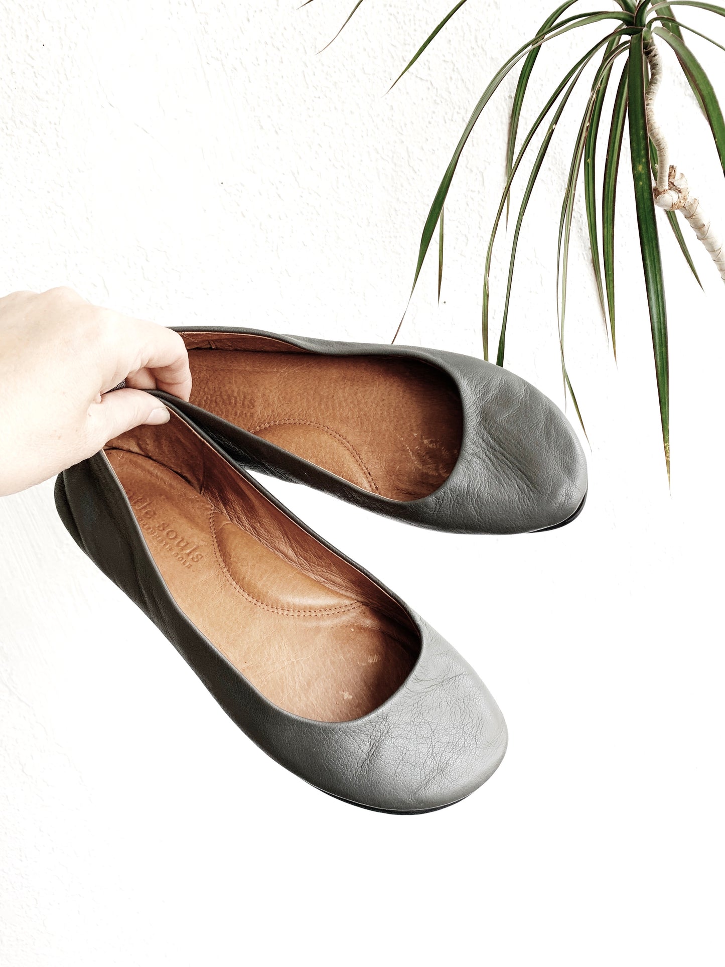 Gentle Souls Ballet Flats