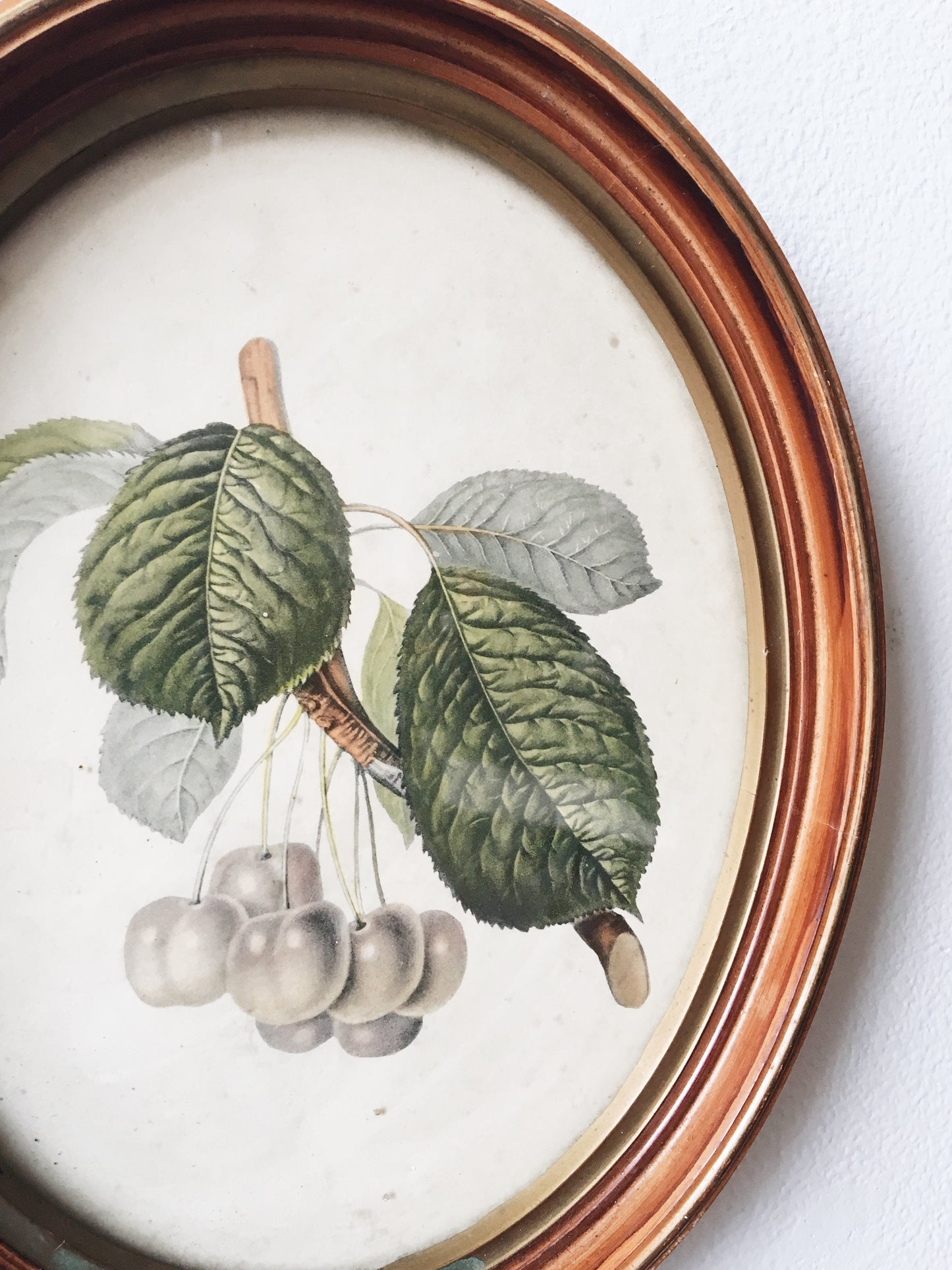 Antique Framed Cherries