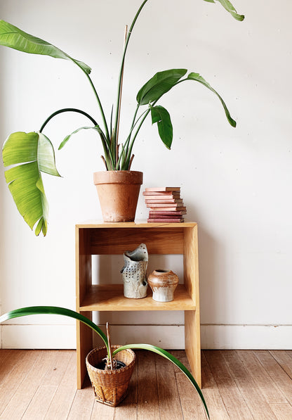 Handmade Wood Media Stand / Shelf