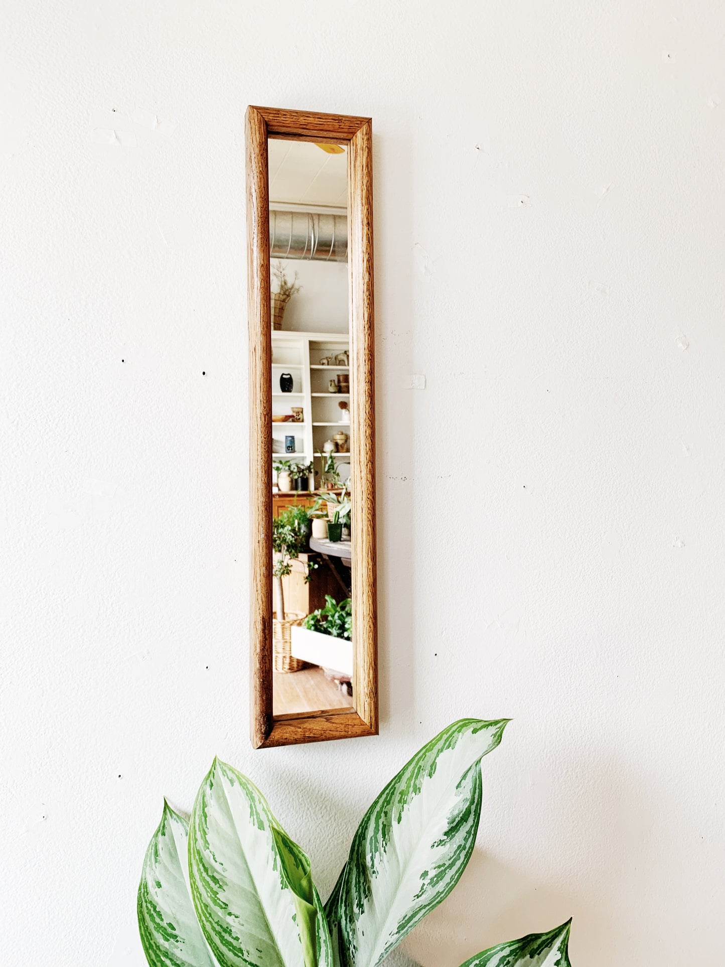 Vintage Long Skinny Mirror